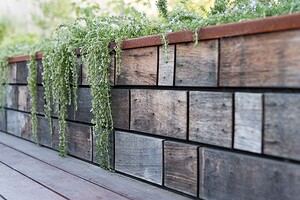 Recycled timber retaining wall with trailing native plants cascading over horizontal timber blocks in Buninyong garden