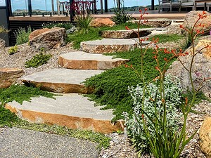 Large bluestone step treads cascading through native plantings with red flowering plants in Gisborne country garden