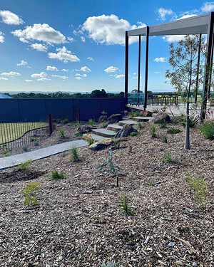 Newly planted native garden with wood mulch, concrete steps, and corten steel pergola structure in Gisborne